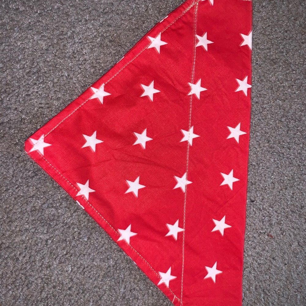 Pet bandana
